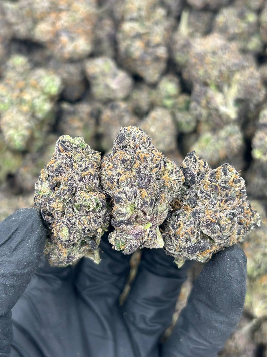 Marshmallow Gumdrop THCA Flower