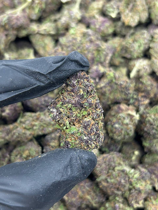 Tropical Pressure THCA Flower