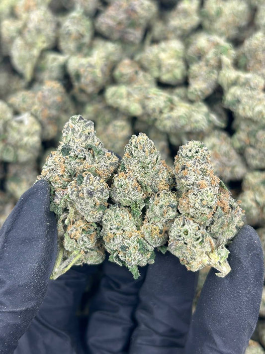 Gary Payton THCA Flower