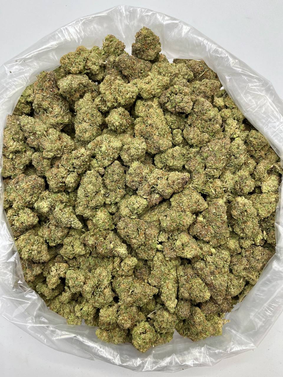 Panama Red