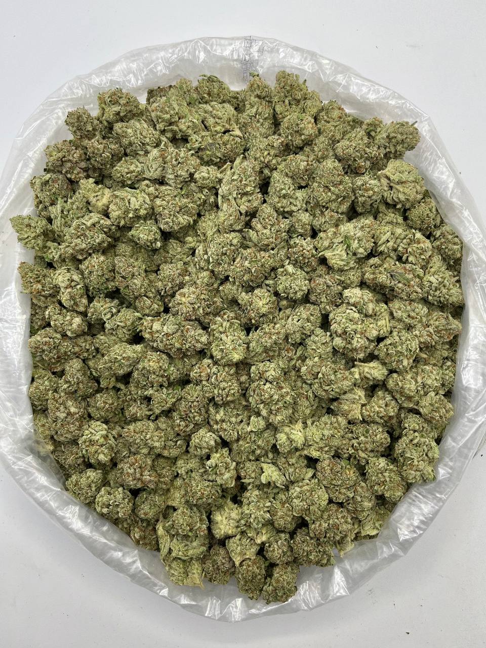 Ghost Vapor OG