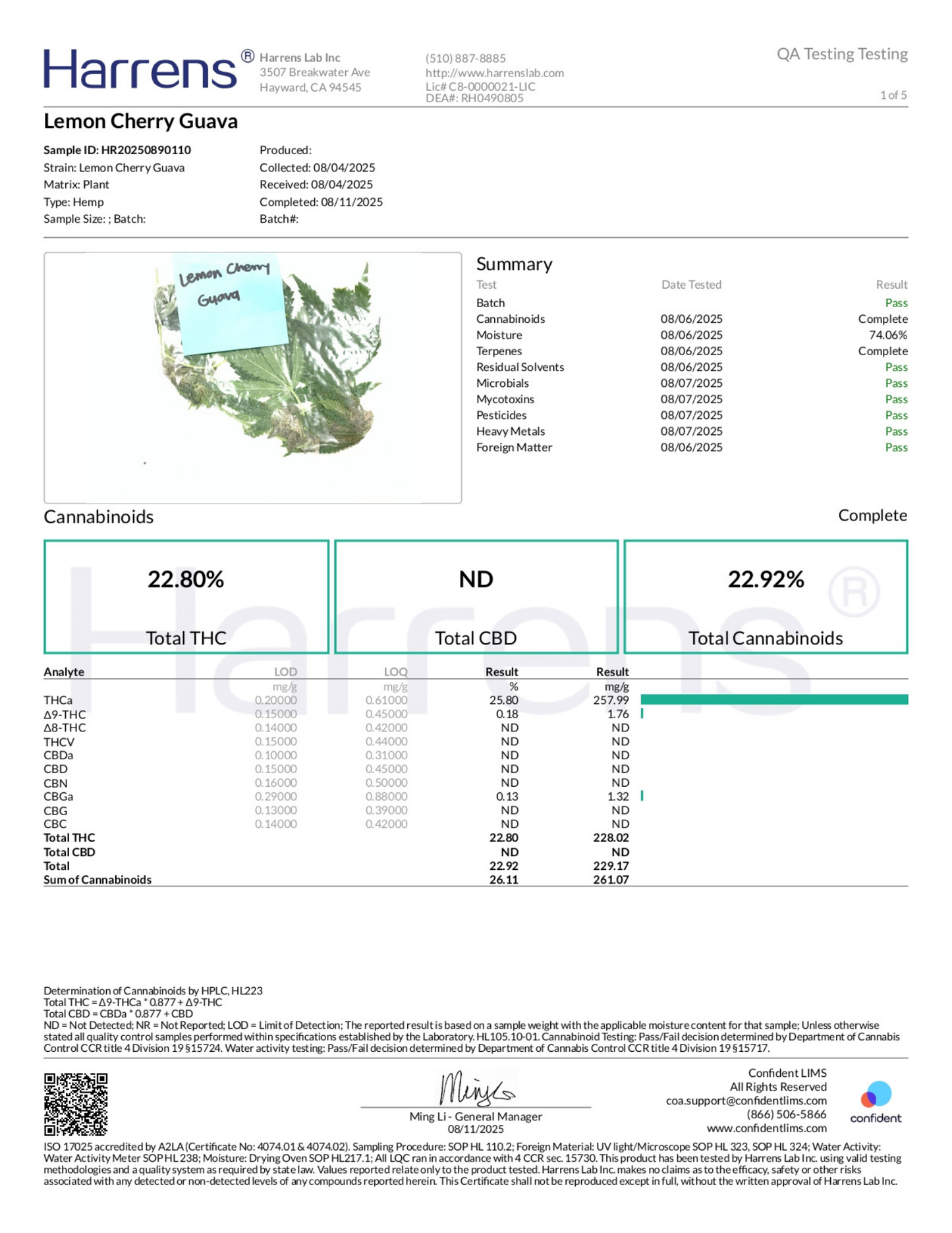 Lemon Cherry Guava THCA Flower