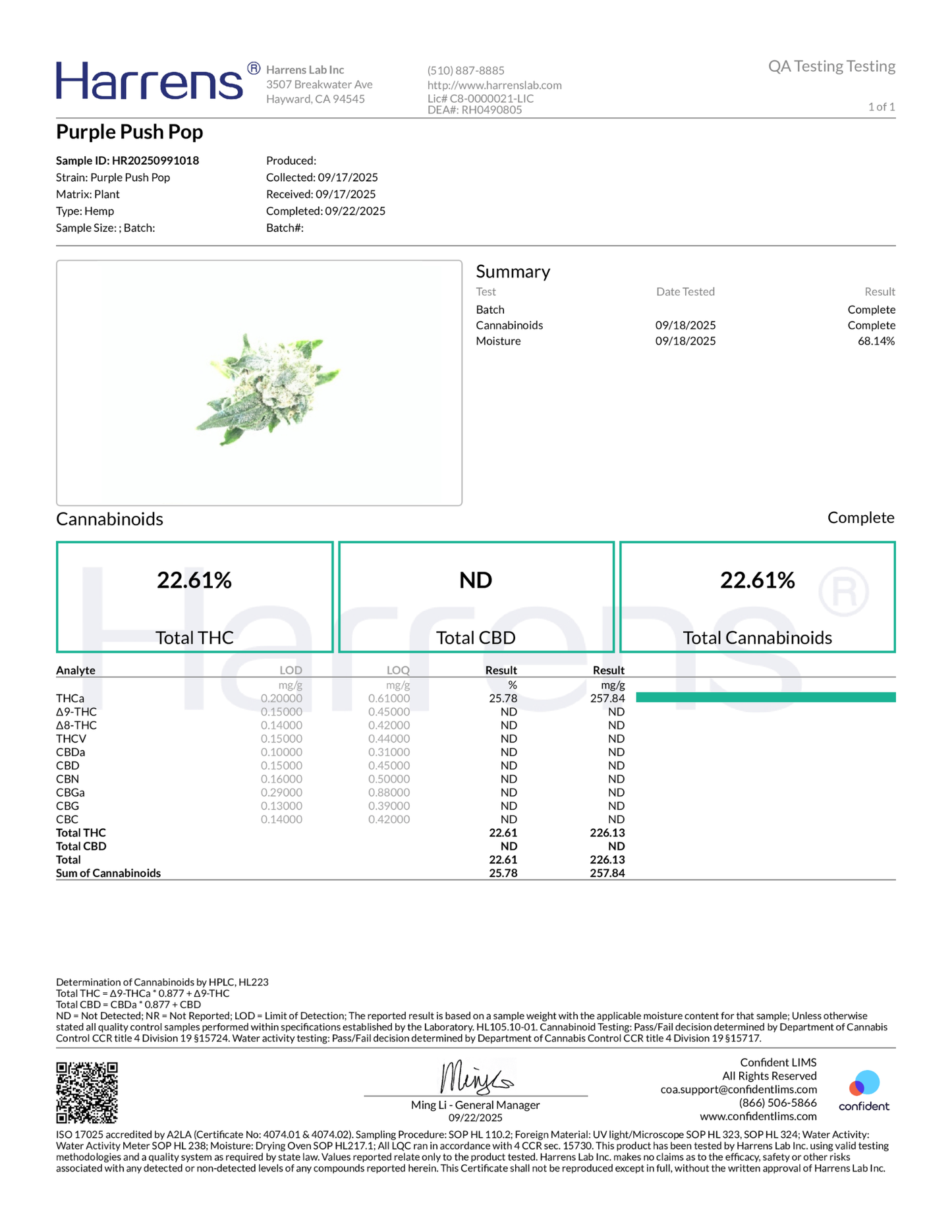 Purple Push Pop THCA Flower