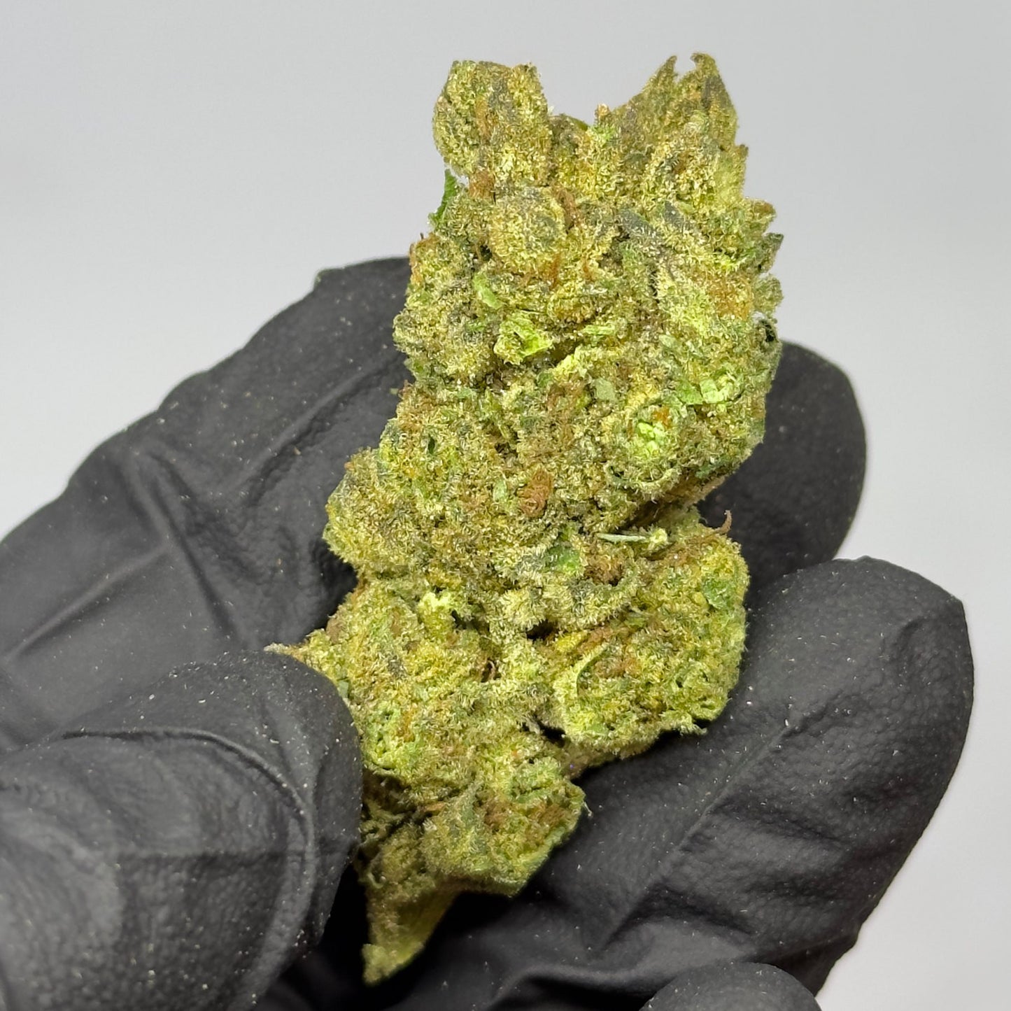 Gelato Truffle