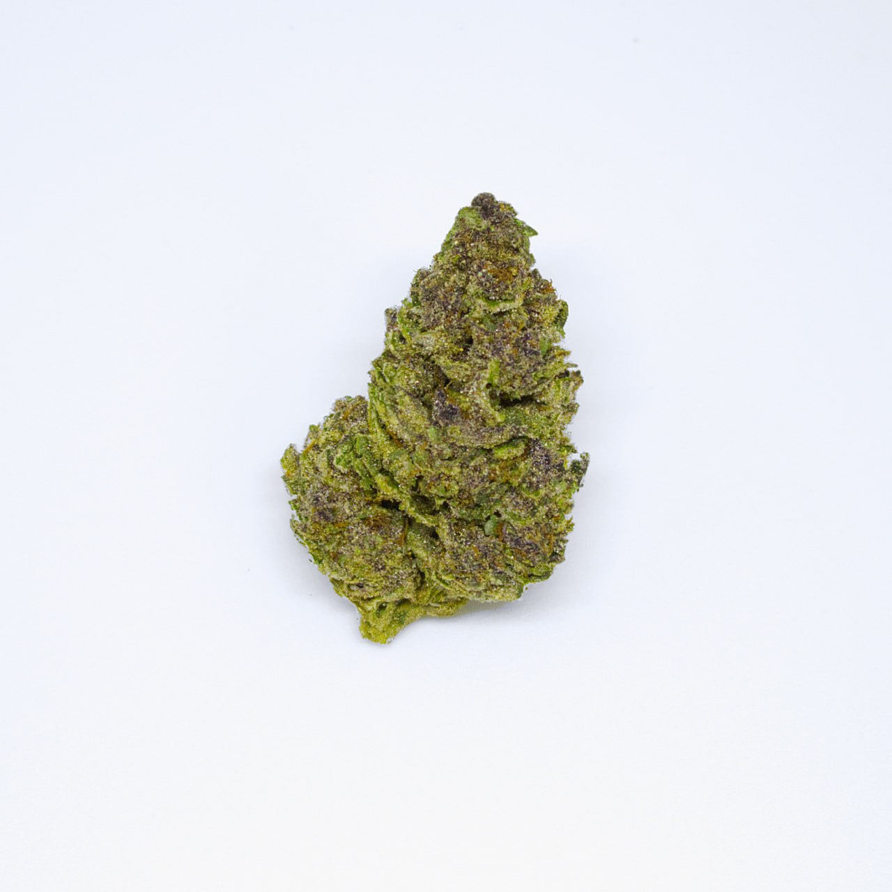 Gorilla Skunk