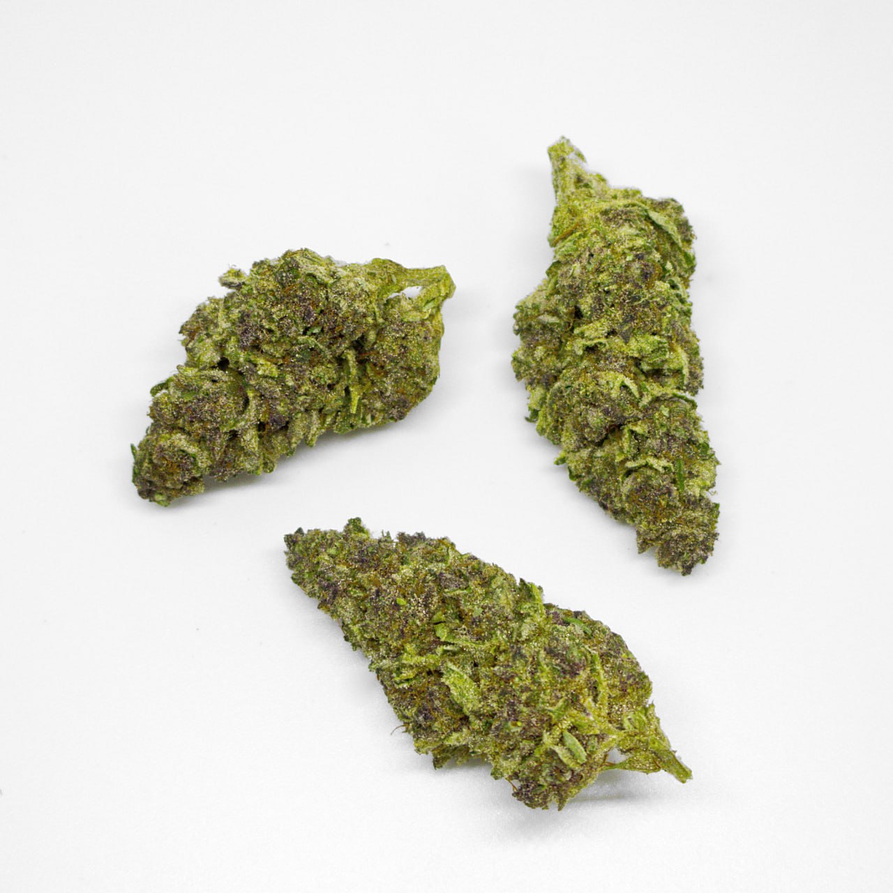 Gorilla Skunk