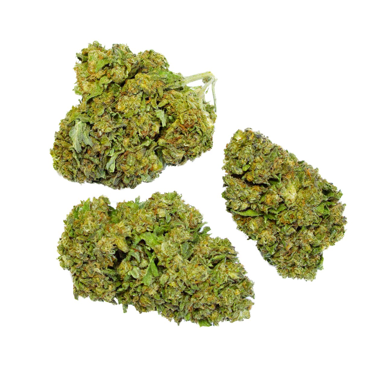 Gelato 33