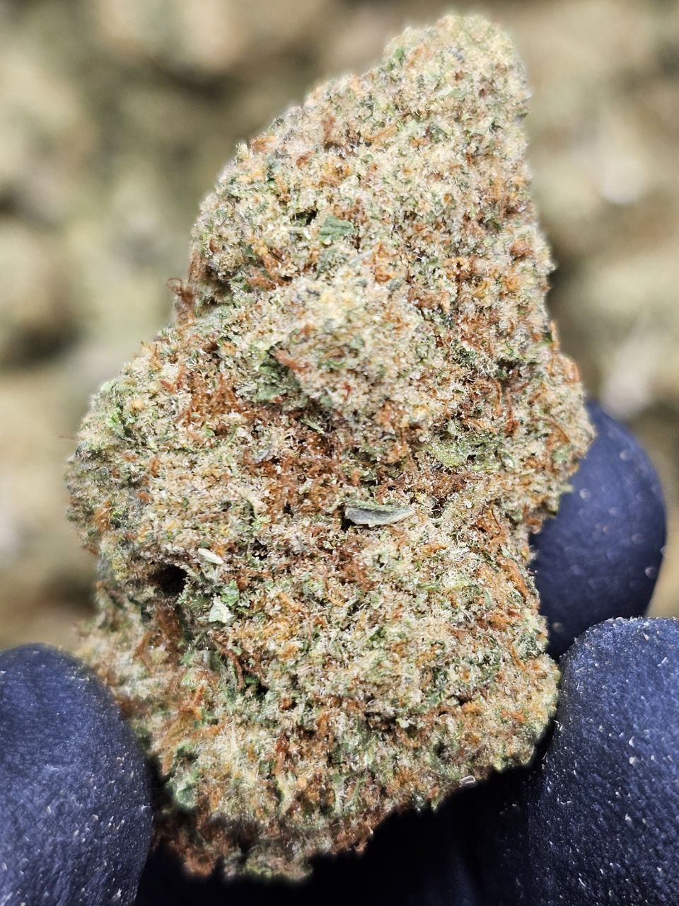 Lemon Pie