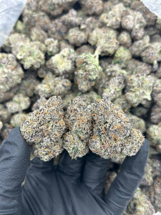 Wild Stawberry Runtz THCA Flower