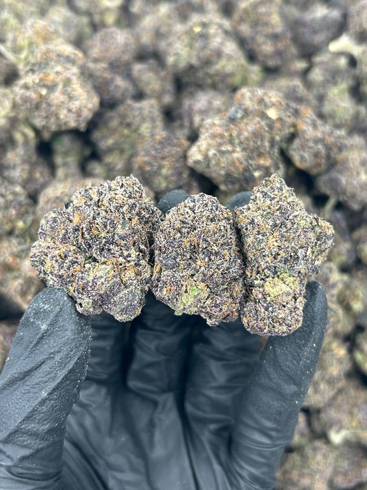 Blue Cookies THCA Flower