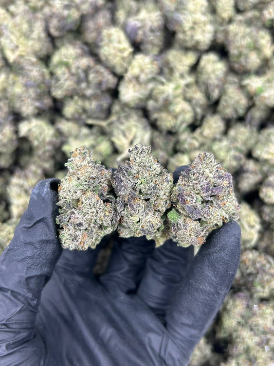 Strawberry Gelatti THCA Flower