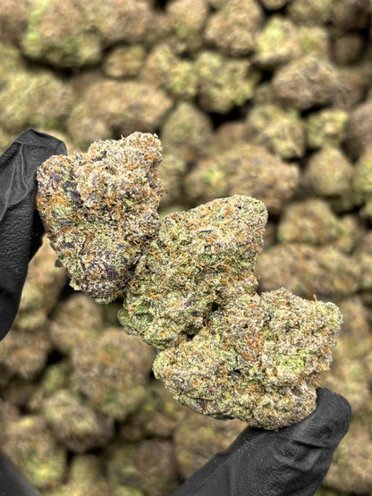 Purple Gas Mintz THCA Flower