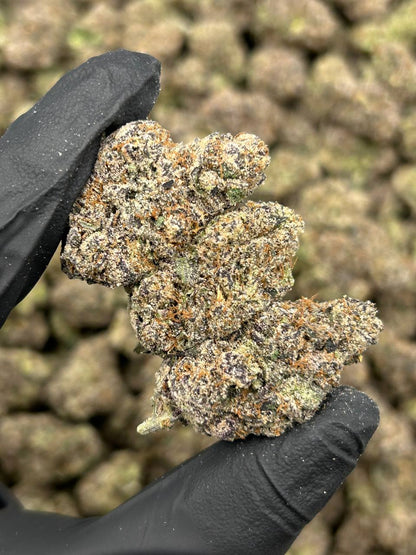 Pina Colada Sorbet THCA Flower