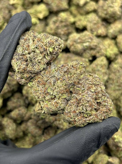 Pineapple Express THCA Flower