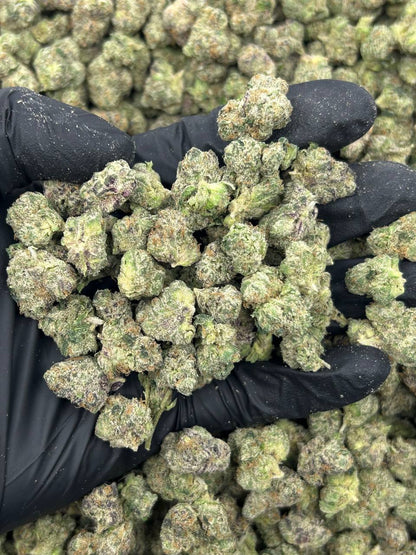 Lemon Cherry Guava THCA Flower