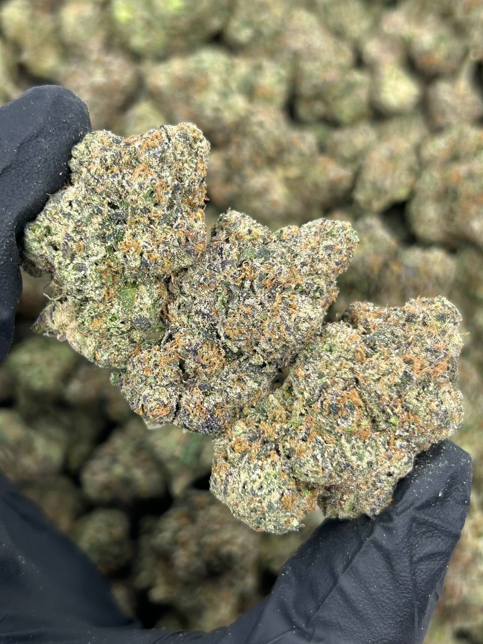 Strawberry Cough THCA Flower