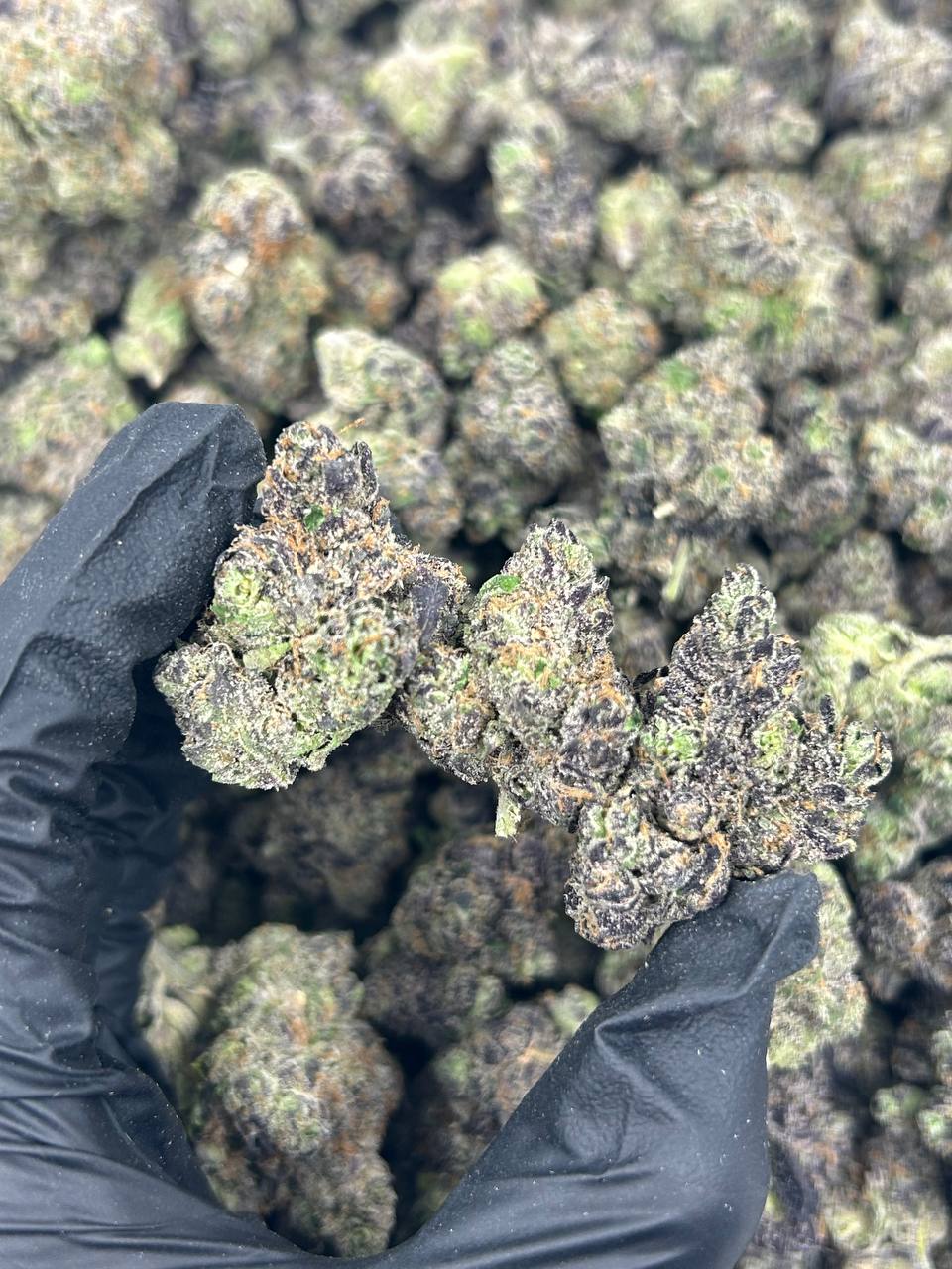 Jet Fuel Mochi THCA Flower