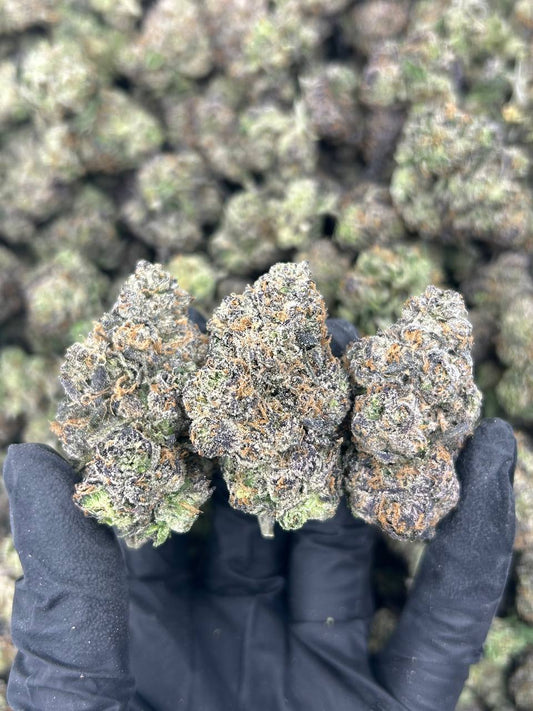 Forbidden Flower THCA Flower