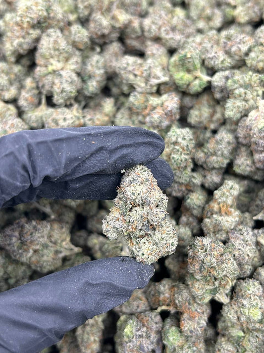 Lemon Cherry Baccarat THCA Flower