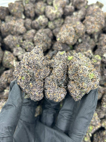 Black Cherry Gelato THCA Flower