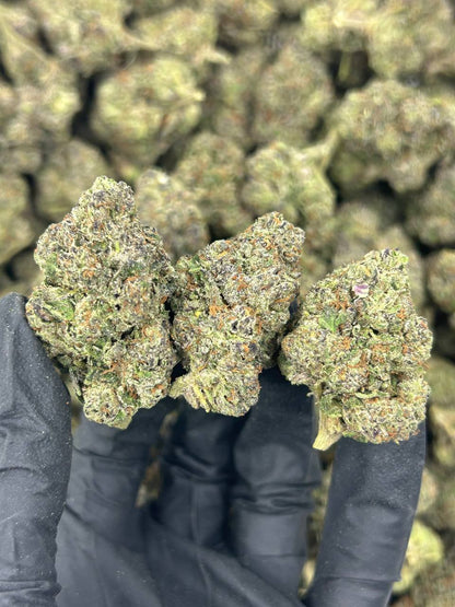 Pink Runtz THCA Flower