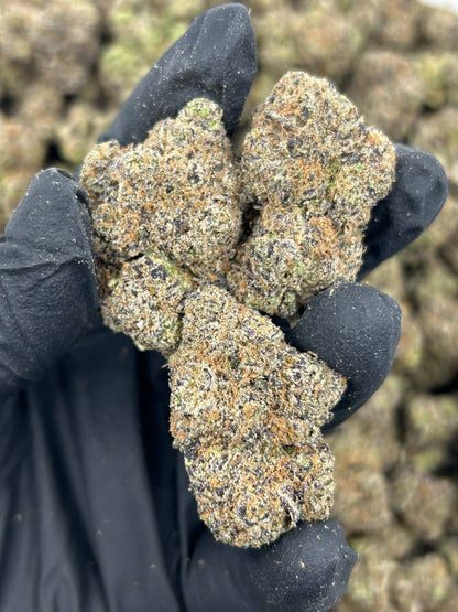 Bubblegum Gelato THCA Flower