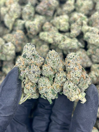 Gary Payton THCA Flower