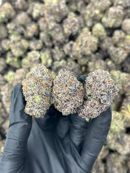 Bompton Berriez THCA Flower