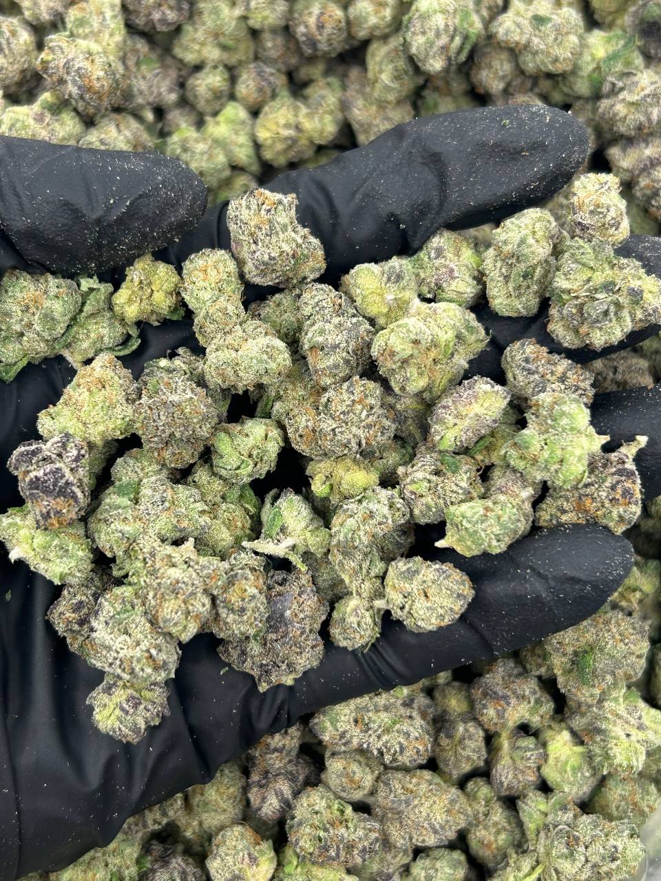 Grape Crush Smalls THCA Flower