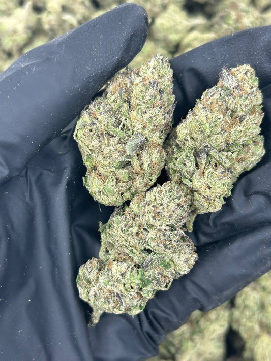 Candy Jam THCA Flower