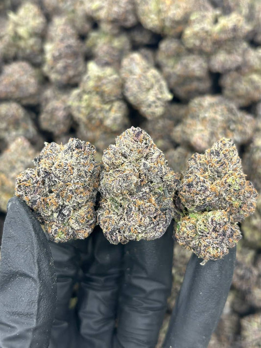 Bubblegum Gelato THCA Flower