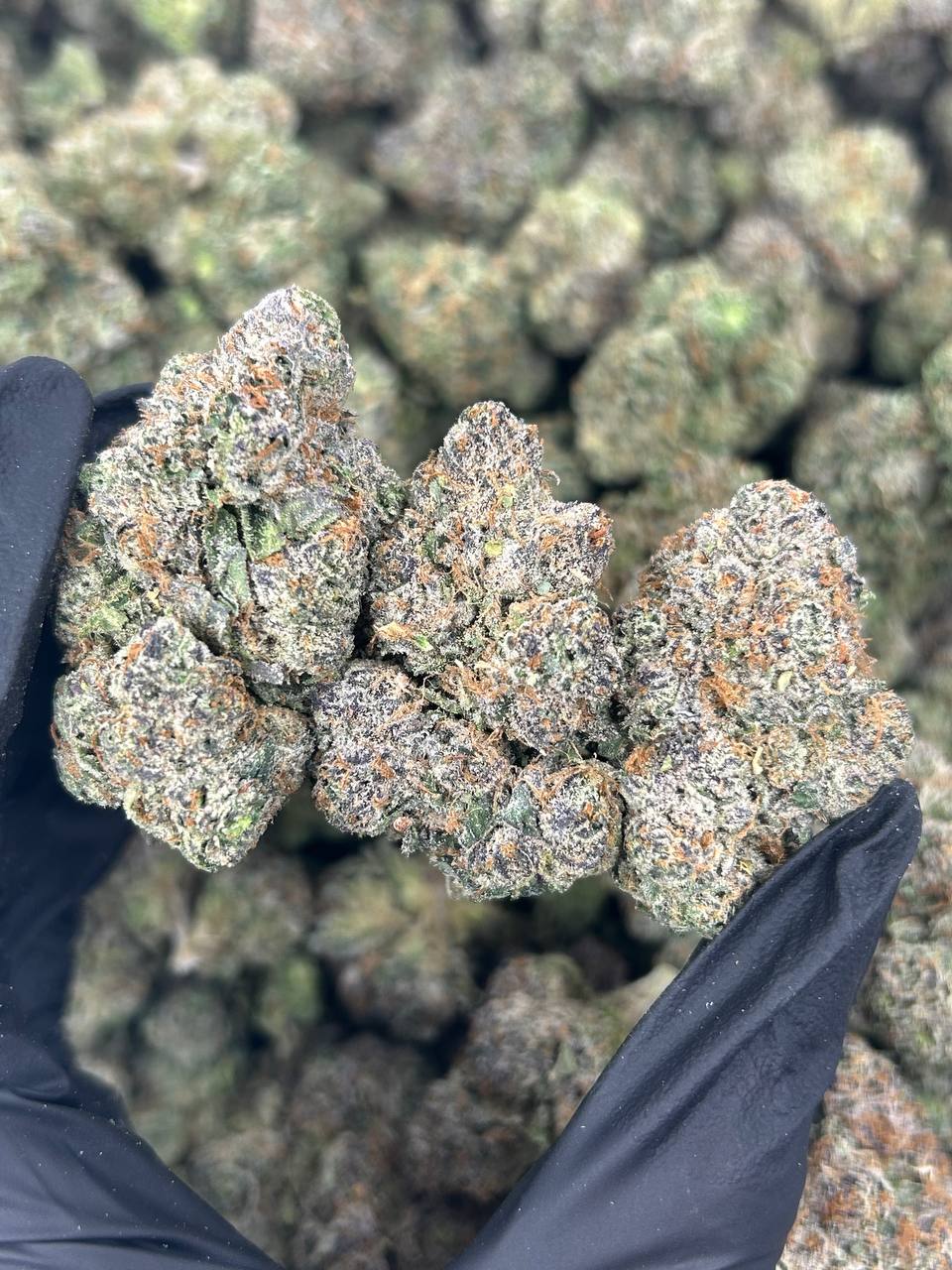 Sour Diesel THCA Flower