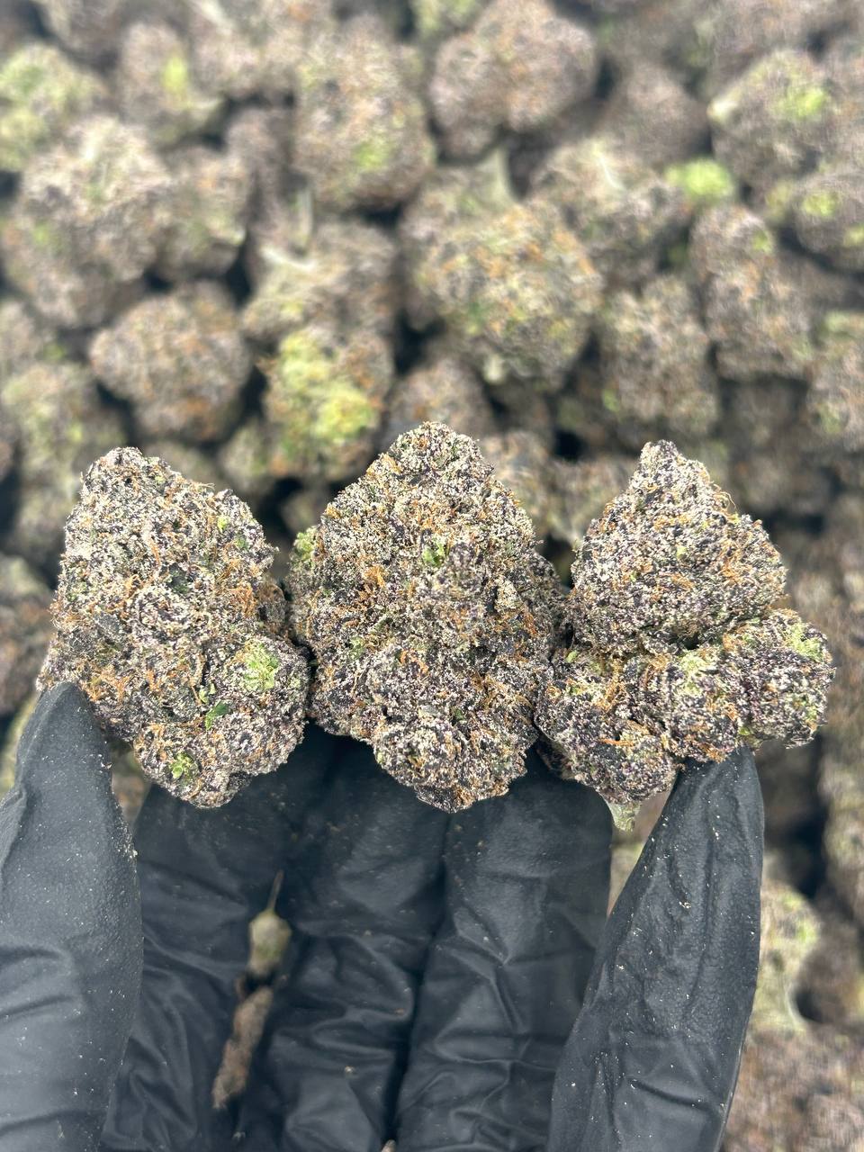 Crunch Berriez THCA Flower