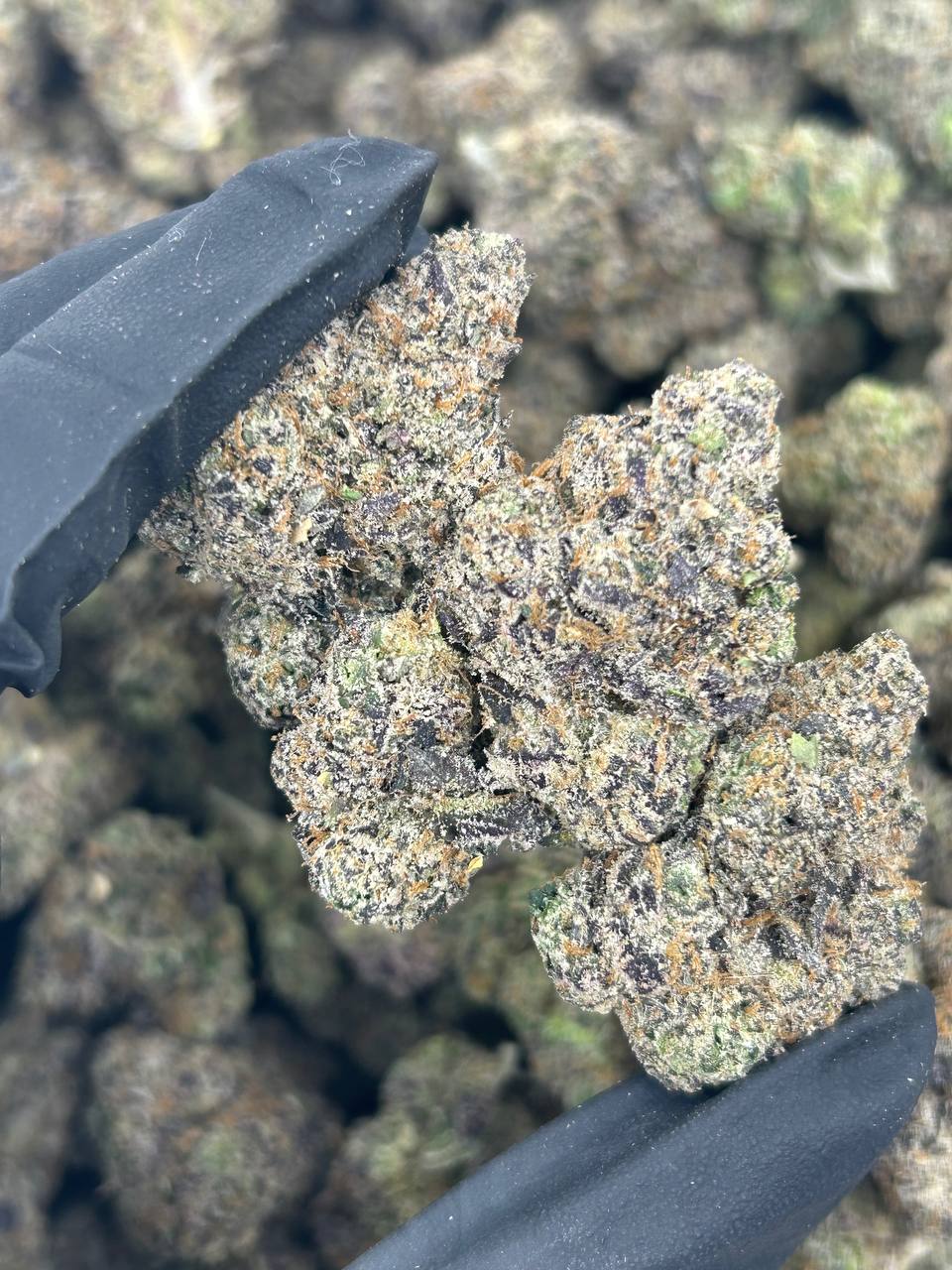 Black Cherry Gelato THCA Flower