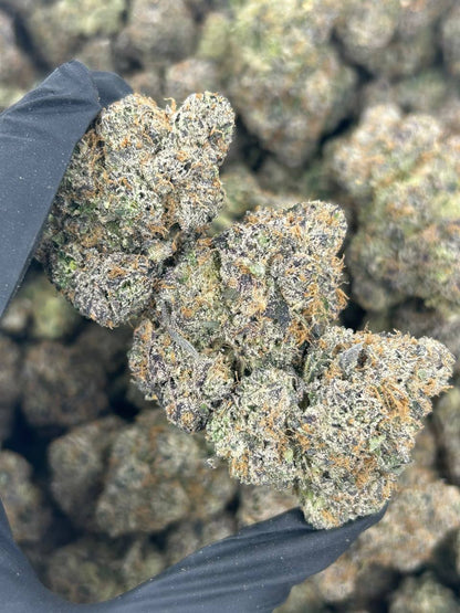 Trap Berry Kush THCA Flower