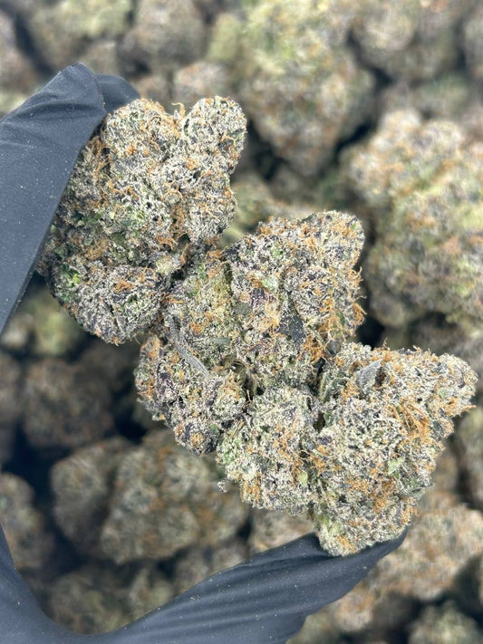 Trap Berry Kush THCA Flower