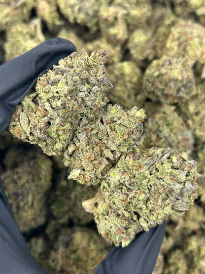 Apple Fritterz THCA Flower