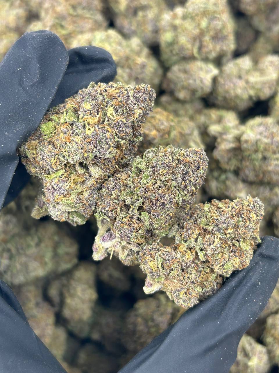 Mimosa Runtz THCA Flower