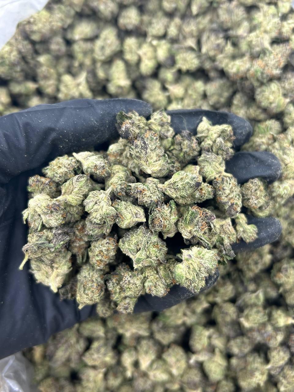 Strawberry Gelatti Smalls THCA Flower