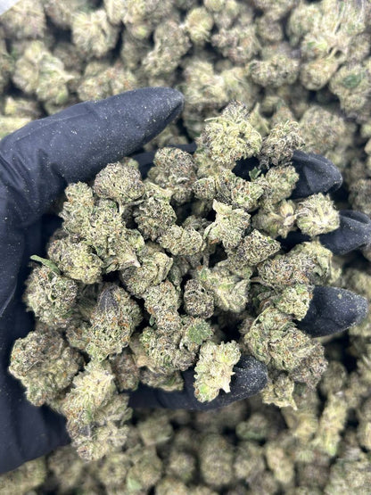 Jelly Zapper Smalls THCA Flower