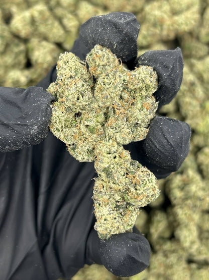 White Cherry Freeze THCA Flower