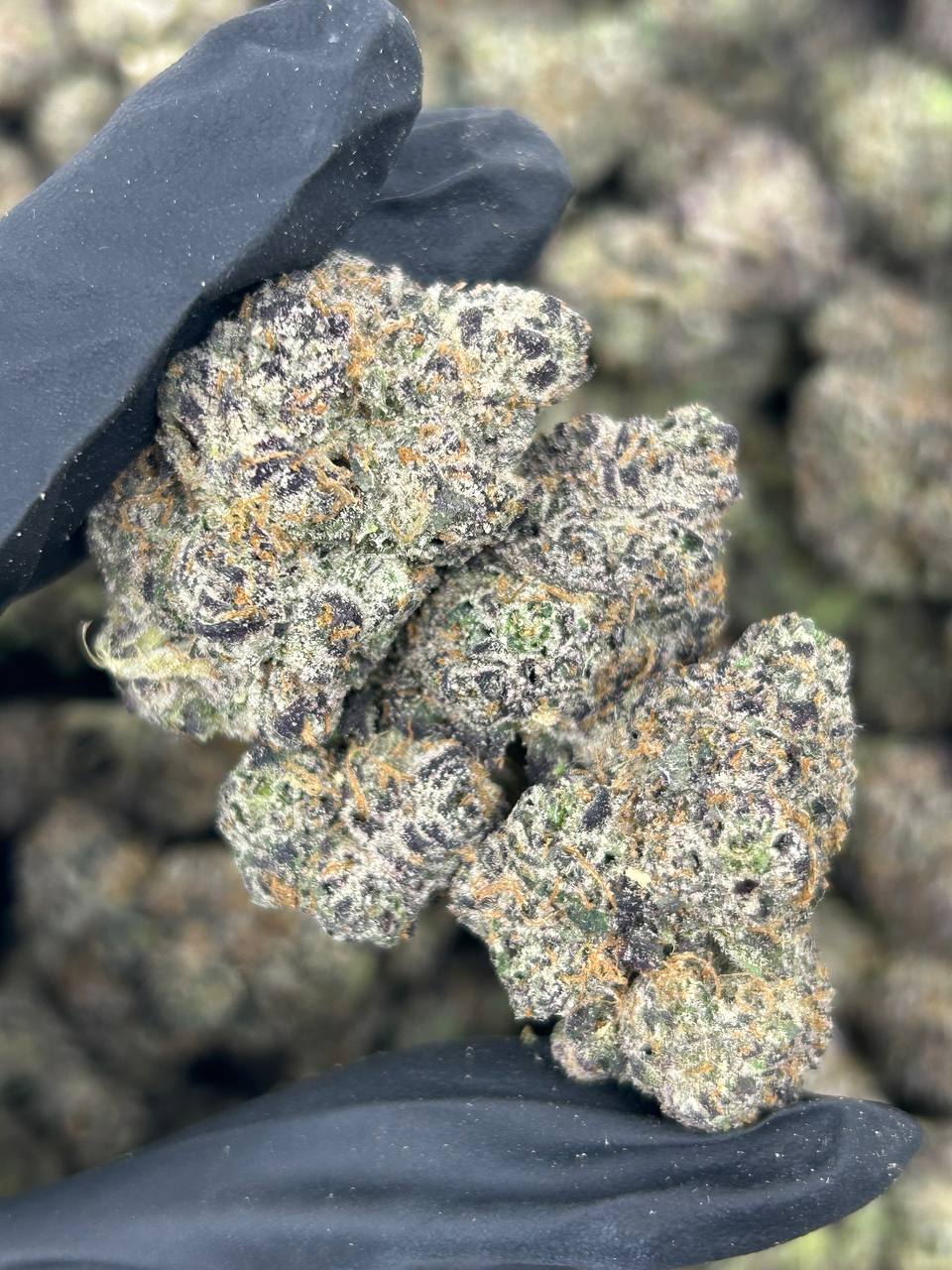 Ruby Glacier Punch THCA Flower