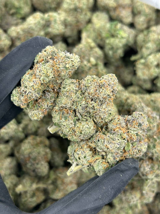 Sunset Sherbet THCA Flower