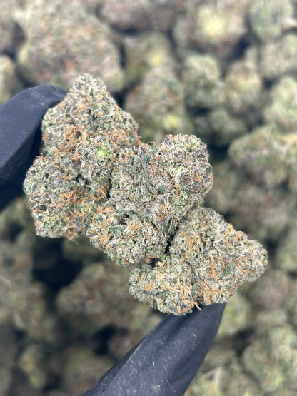 Pineapple Frost Byte THCA Flower