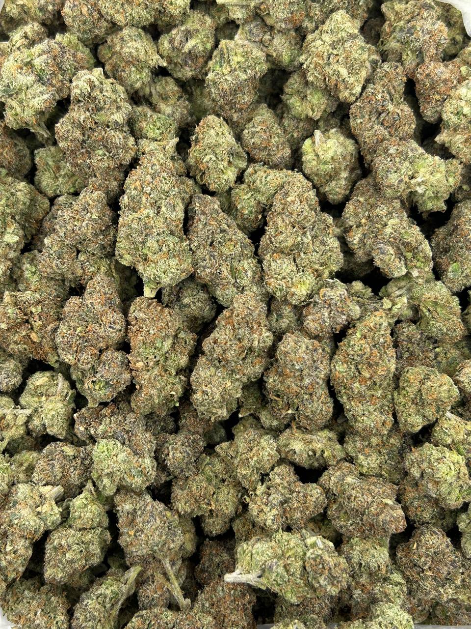 Crimson Sherbet THCA Flower