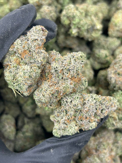 Tropical Zlushee THCA Flower