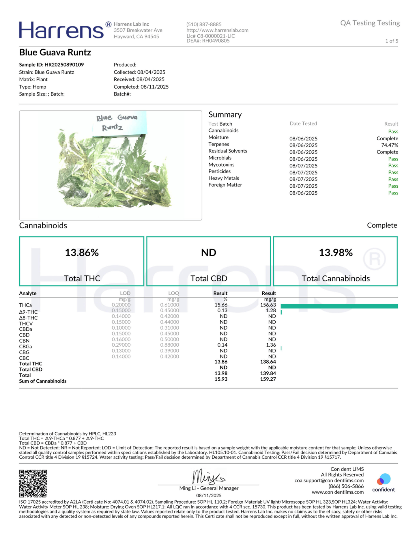 Blue Guava Runtz THCA Flower