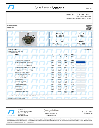 Blueberry Mimosa THCA Flower