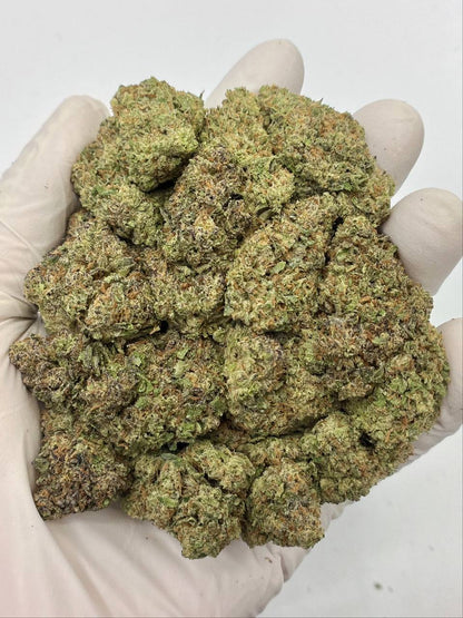 Panama Red