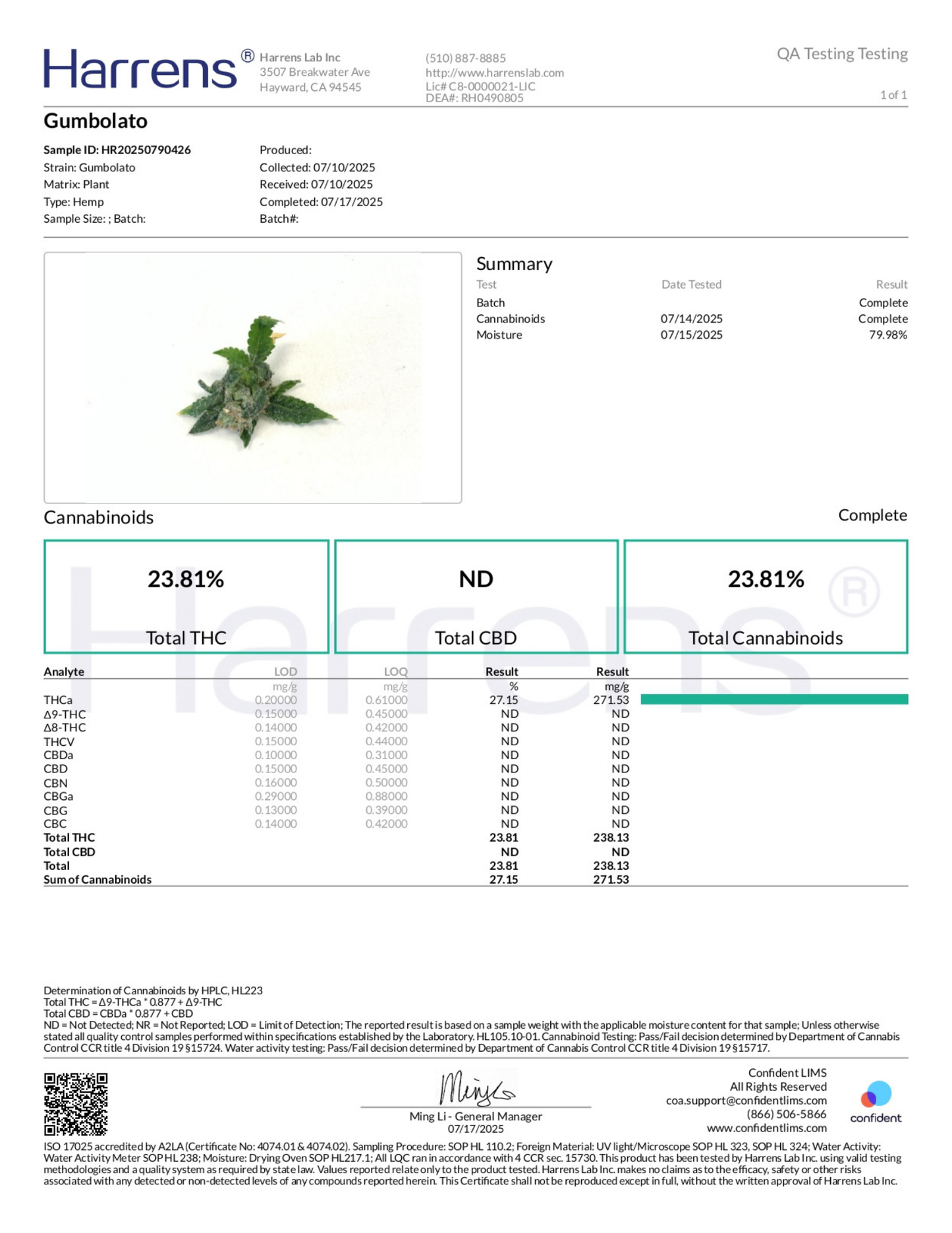 Gumbolato THCA Flower
